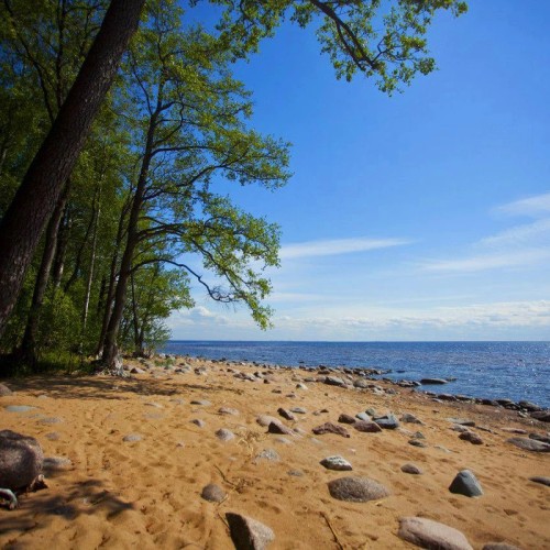 Оллинпяя — заповедник старинных дач