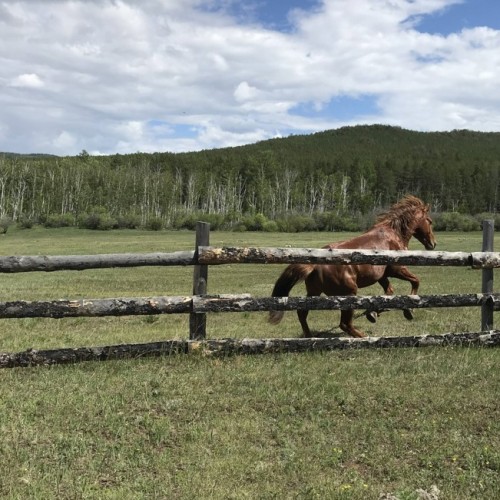 На джипе по Ольхону в мини-группе: север и юг
