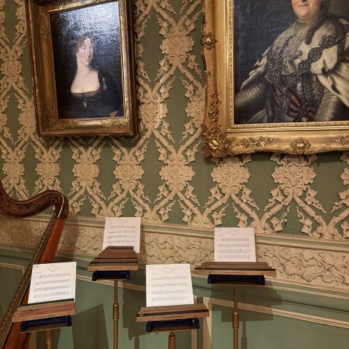 Экскурсия-квест по Шереметевскому дворцу