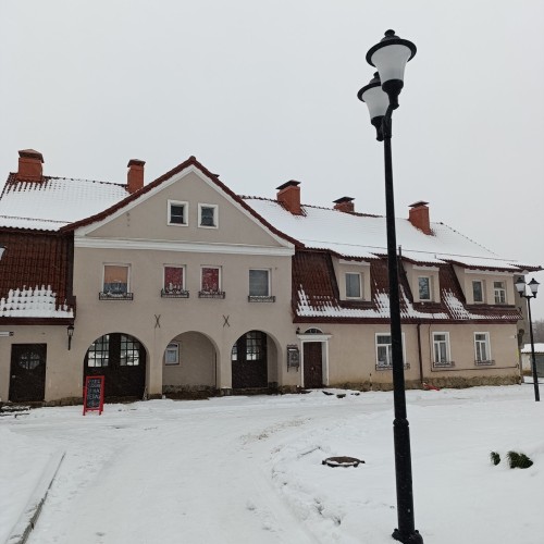 Прусские воительницы и великие полководцы 19 века