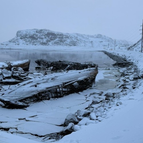 Своей компанией на Русский Север: Мурманск, Териберка, Кировск и саамы