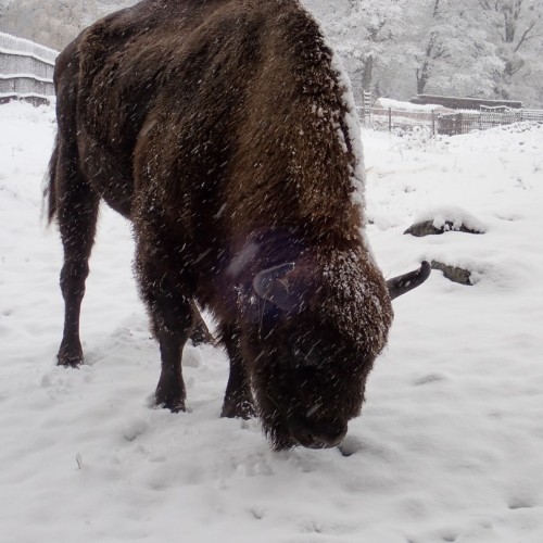 Домбай: экскурсии и походы по заповедным местам