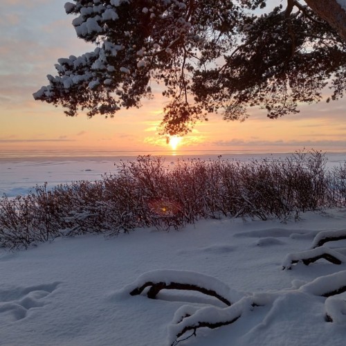 Сестрорецк — русская Финляндия (в мини-группе)