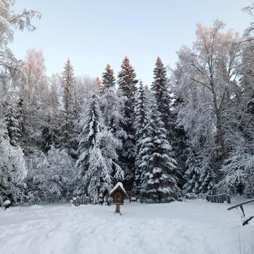 От каменного века до викингов, от Кижей до Рускеалы: индивидуально по Карелии