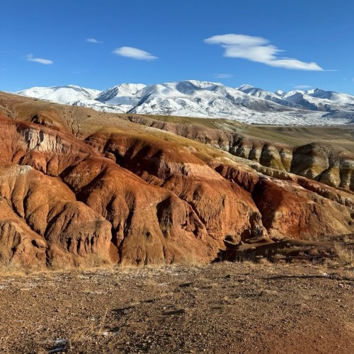 Сиреневые горы, Алтай и май: главные места во время цветения маральника в мини-группе (всё включено)