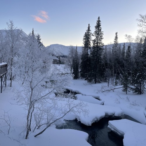 Своей компанией на Русский Север: Мурманск, Териберка, Кировск и саамы