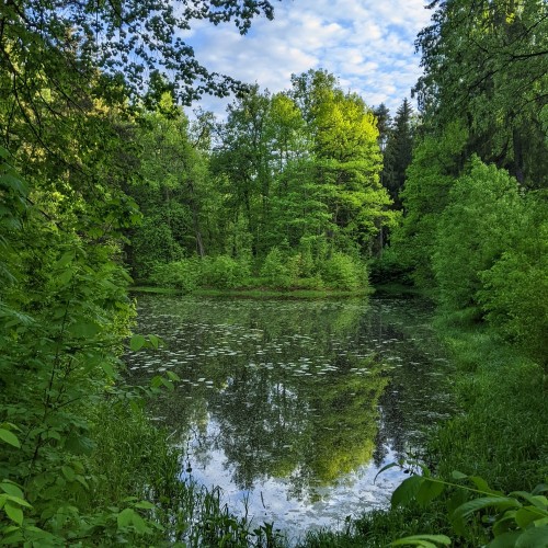 Неповторимое очарование Павловского парка: экскурсия на велосипеде