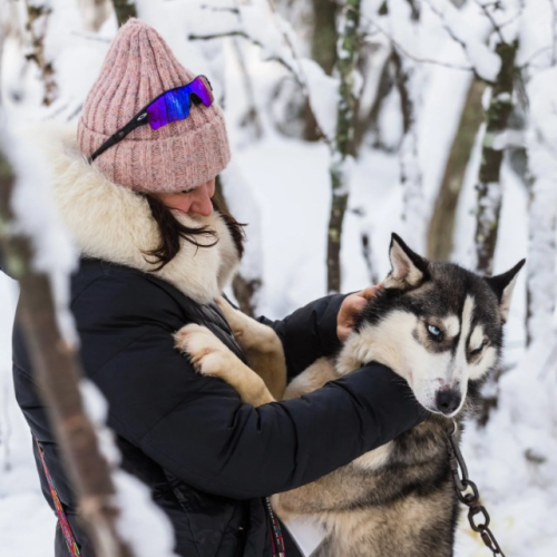 Перезагрузка на Кольском: видеть, чувствовать, удивляться