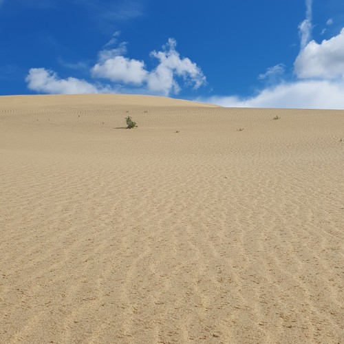 Дюны среди тайги: поход к Чарским пескам с ночёвками в палатках на природе