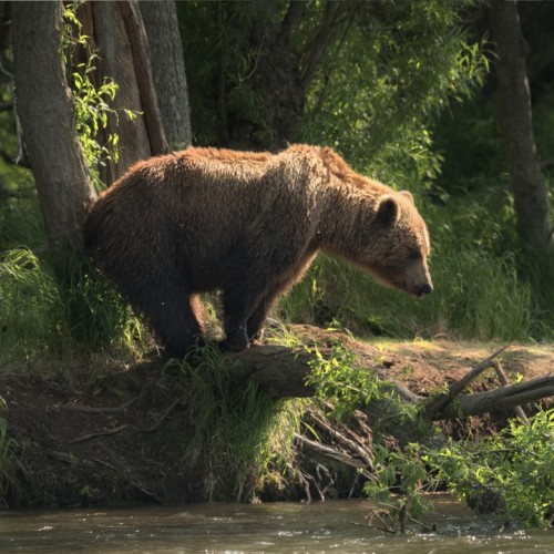 Вулканы, киты, океан: исследуем Камчатку налегке