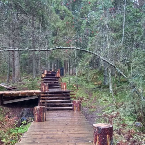Индивидуальная поездка в Северное Приладожье из Санкт-Петербурга