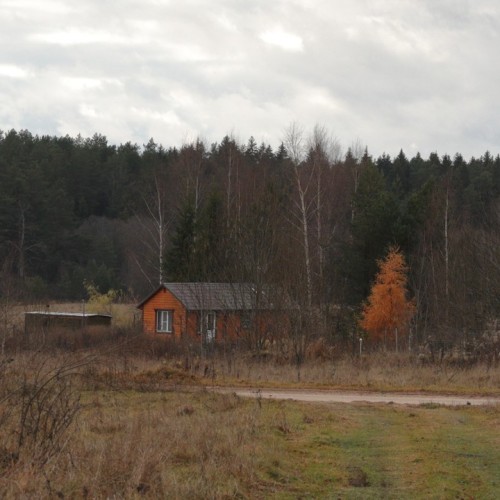 По тропам Торжокского района: пеший поход с рюкзаками