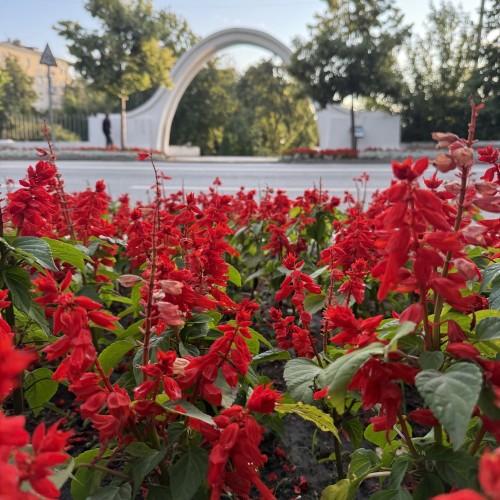Сады, парки и скверы Казани