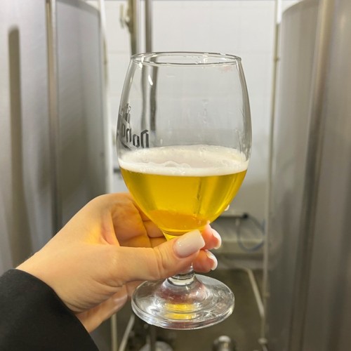 Дегустации пенного, ночь в отеле-замке и погружение в историю Кёнигсберга в мини-группе