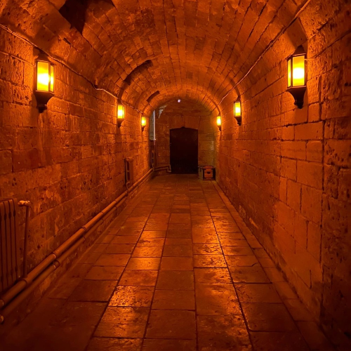 Затворники Гатчинского дворца