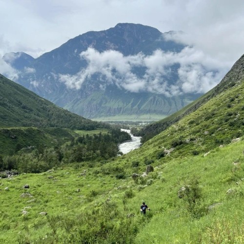 Алтайские тропы: красота природы с комфортом