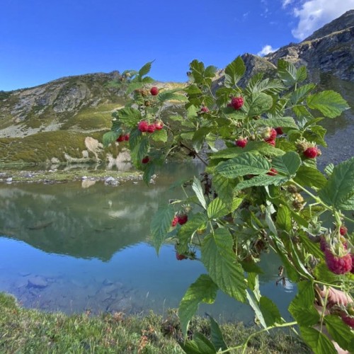 Край разноцветных озёр: треккинг налегке в Архызе с проживанием в палатках