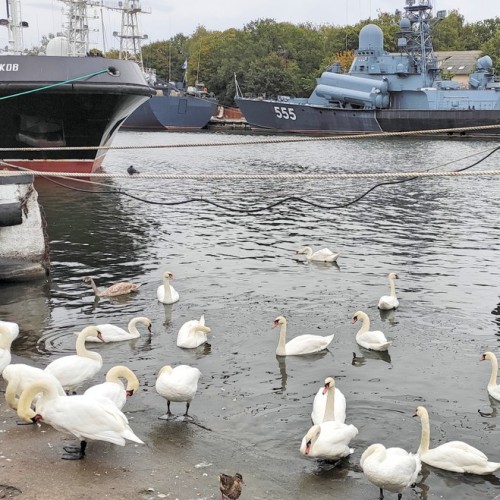 Трансфер из аэропорта Калининграда с экскурсией по Балтийскому побережью