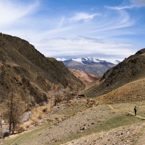 Майские на Алтае в сезон цветения маральника с ежедневными прогулками (всё включено)
