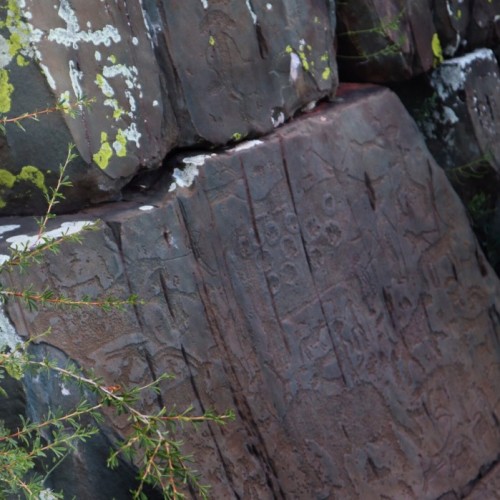 Активный Алтай: треккинг, конные прогулки и Чуйский тракт