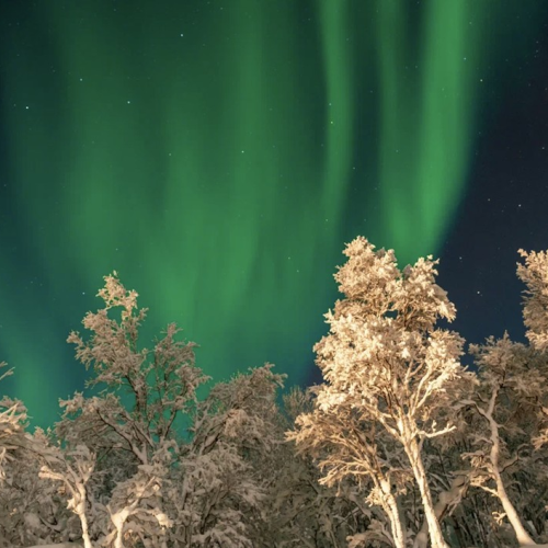 На Север за впечатлениями: северное сияние, Териберка, саамская деревня, хаски и олени