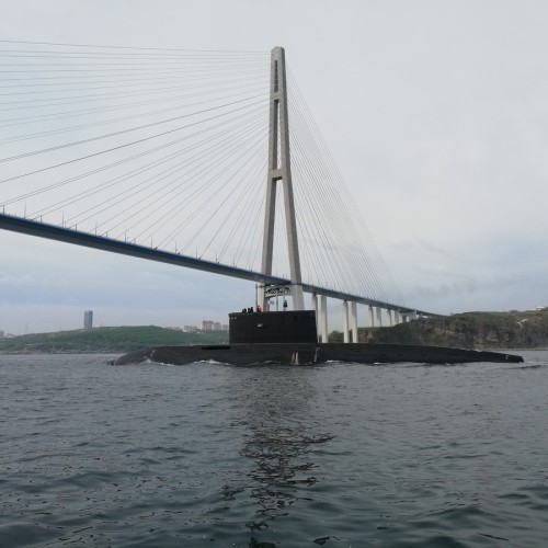 Вокруг острова Русский — на скоростном катере