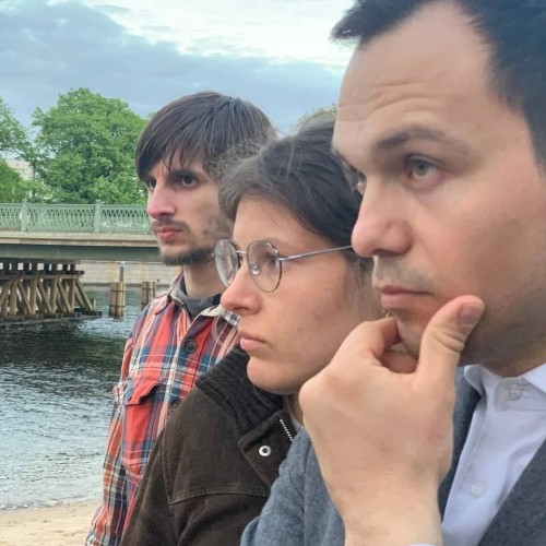 Петербург в революционных дневниках: 1917 г.