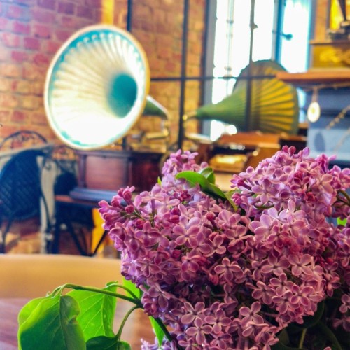 Первый раз в Калининград: истории знаковых мест и редко посещаемых локаций