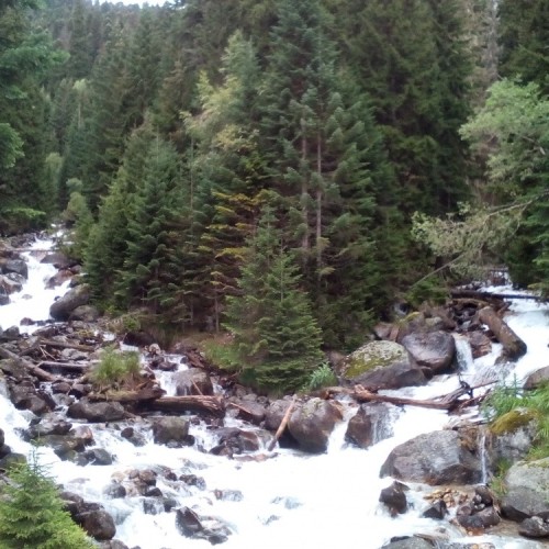 Прогулки по Домбаю: треккинги налегке к ущельям, горам и озёрам