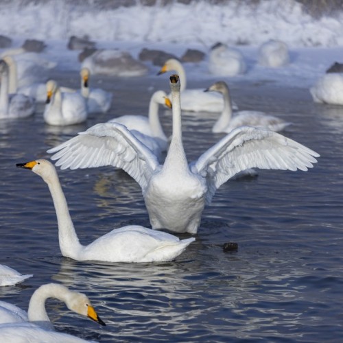 Увидеть Алтай во всей красе: Чуйский тракт, Гейзерное озеро, Марсианские пейзажи, горы и перевалы