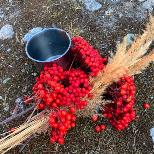 Семейный треккинг в Дигории с размещением в гостинице