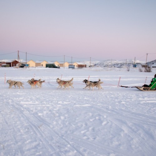 На Кольский в поисках китов и дельфинов мини-группой