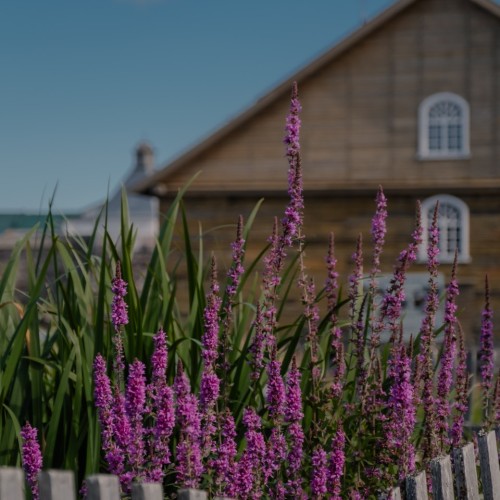 Путешествие на Соловки: погружение в историю, прогулки на катере, лодке и пешком