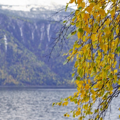 50 оттенков золота: путешествие по сентябрьскому Алтаю в мини-группе