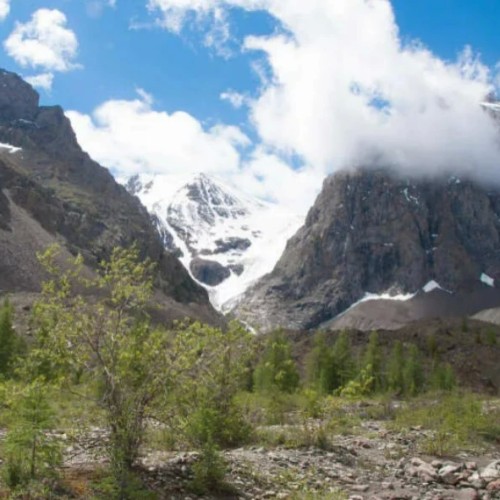 Алтайская кругосветка: на минивэне по кольцевому маршруту и топовым локациям