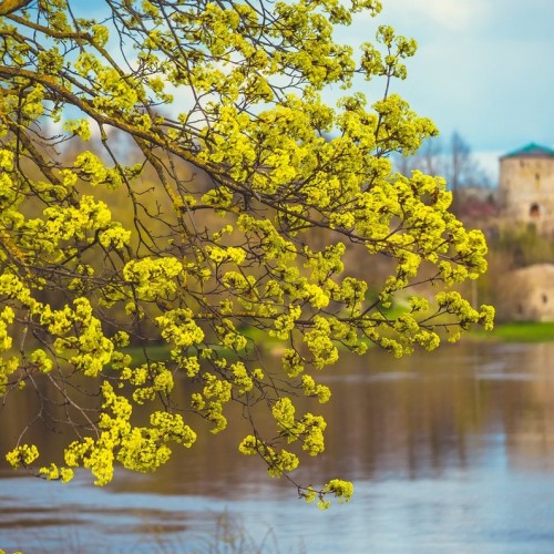 Очарование древности: Псков, его «затутырки» и окрестности