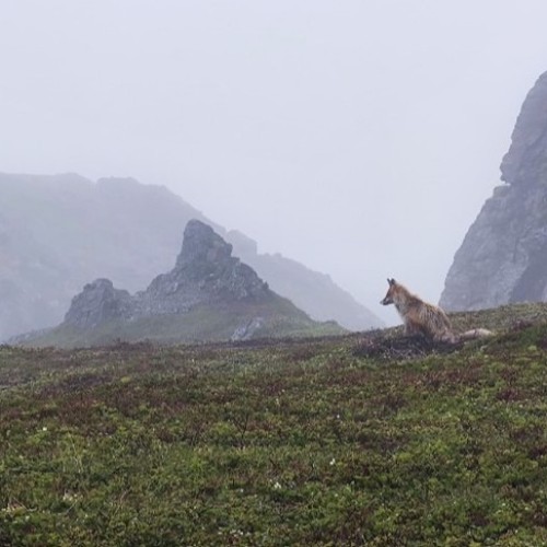 На самый-самый север: автопутешествие по Рыбачьему и Среднему