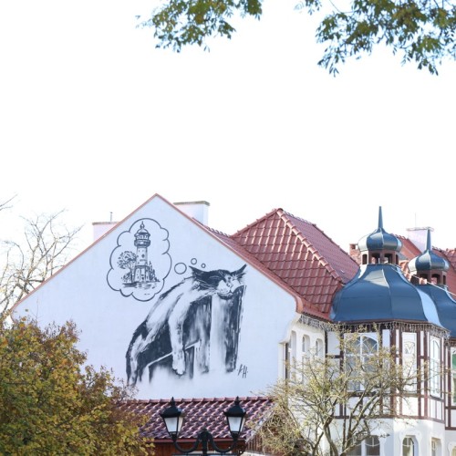 Фотоприключение в весëлой компании: Куршская коса + Зеленоградск (из Калининграда)