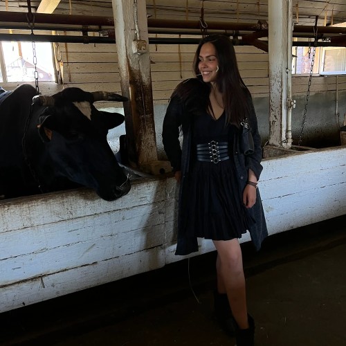 Сыр, бурёнки и вино: экскурсия с дегустацией на ферме под Петербургом