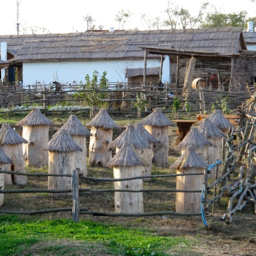 Кубань и Адыгея: казачьи традиции, горы и вина