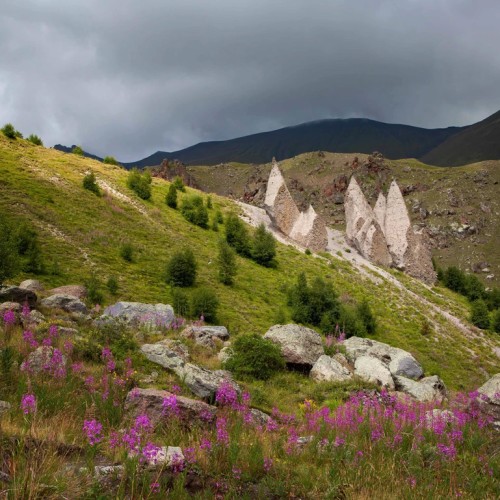 Всё лучшее на Кавказе — для вас: топ-локации, кухня, отдых на источниках, конная прогулка, рыбалка