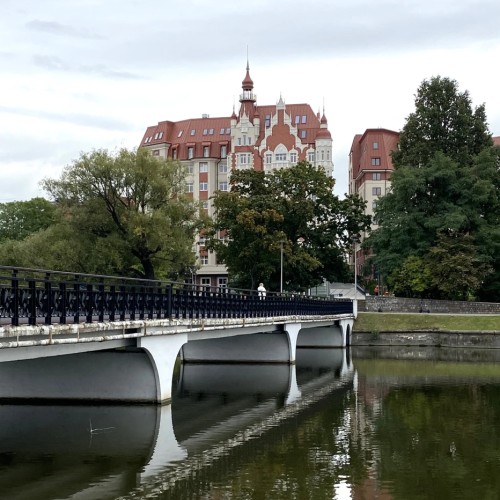 Полюбить Калининград за 3 часа
