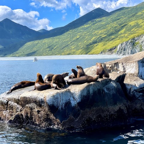 Вулканы, киты, океан: исследуем Камчатку налегке