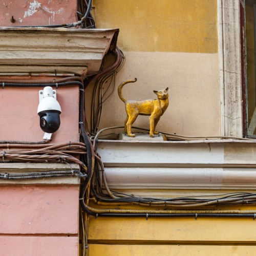 Блокада Ленинграда: экскурсия по историческому центру