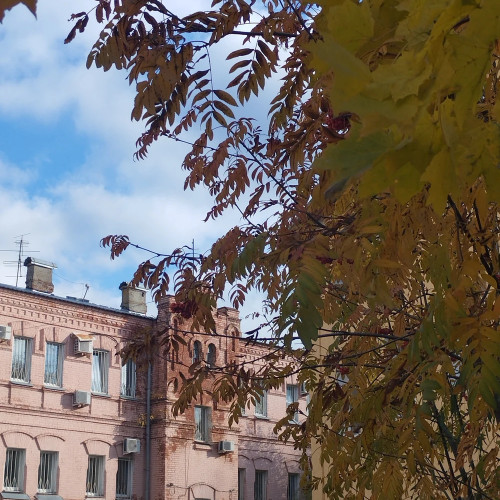 Владимир окраинный