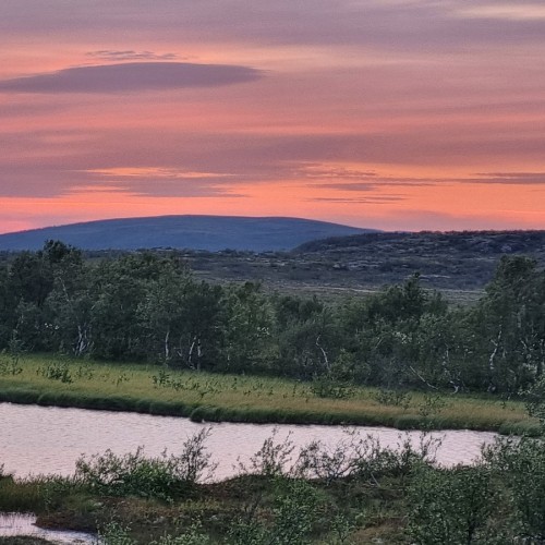 Рыбалка в тундре с ночёвками в палатках: ловим красную рыбу в озере, море или на сопках