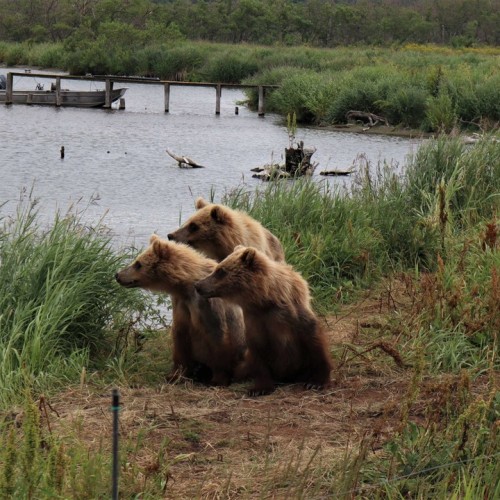 Активный отдых на Камчатке в мини-группе: треккинги, сплавы, квадроциклы