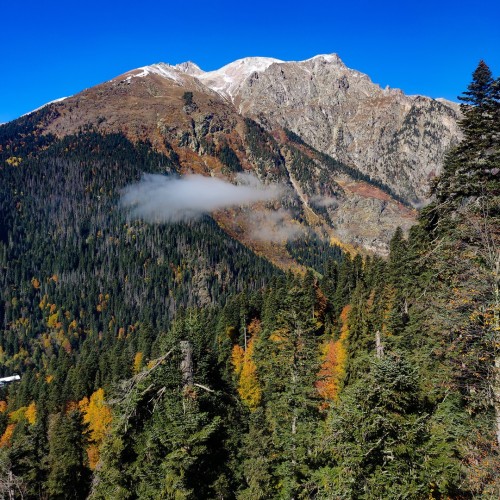 Туда, где горы и минеральная вода: Кисловодск, Пятигорск, Ессентуки и Домбай