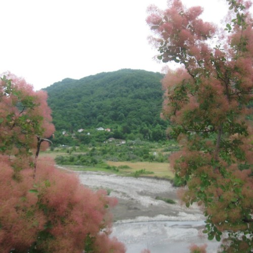 Перезагрузка в горах и на море в мини-группе