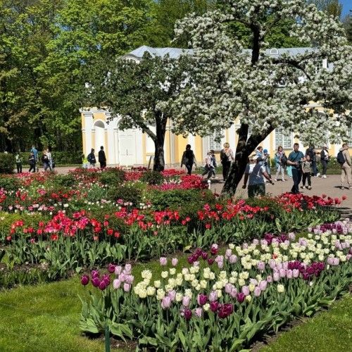 Парк и фонтаны Петергофа (всё включено)